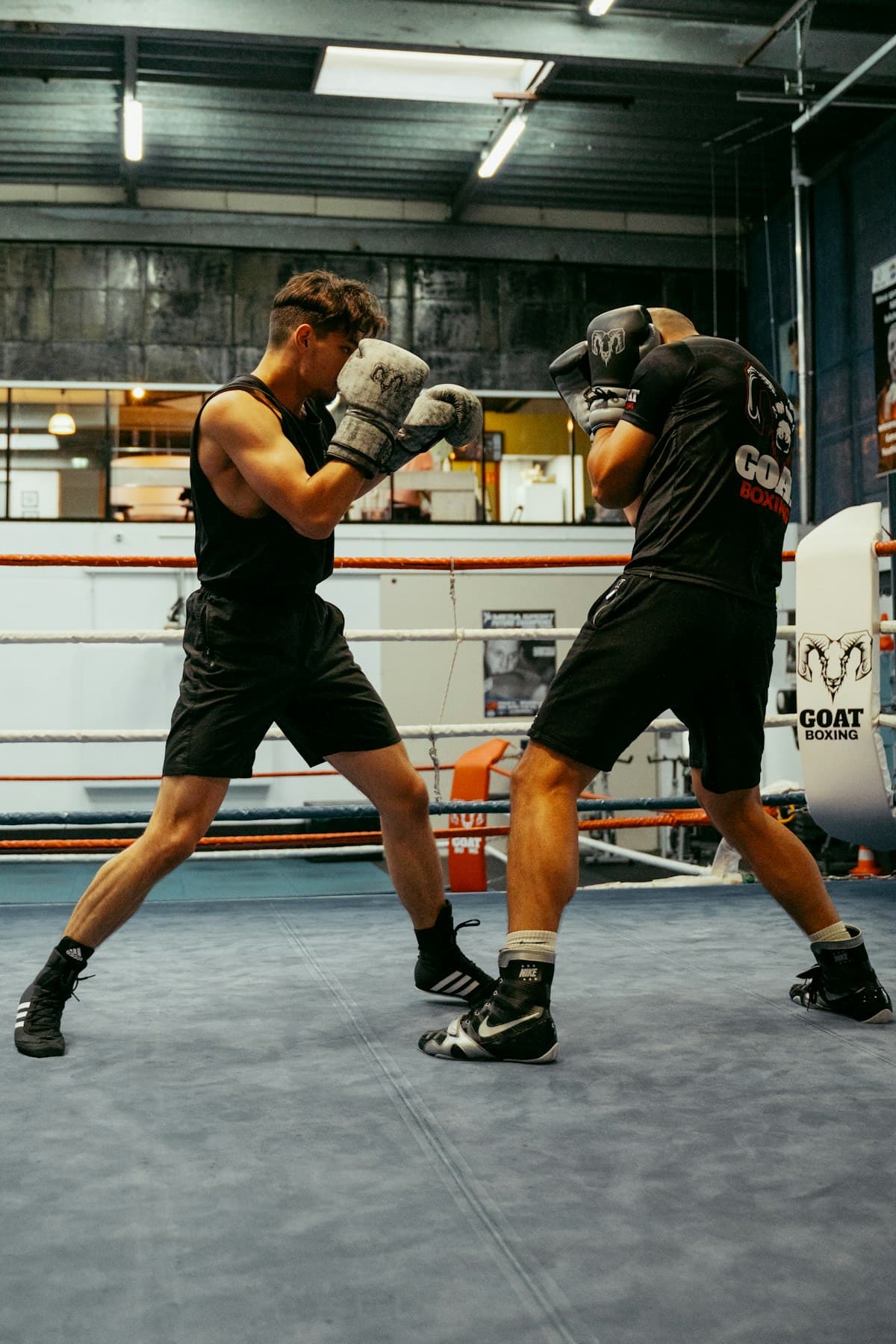 Dos boxeadores en trabajo de sparring dirigido
